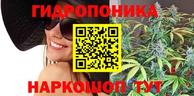 a pvp Малгобек